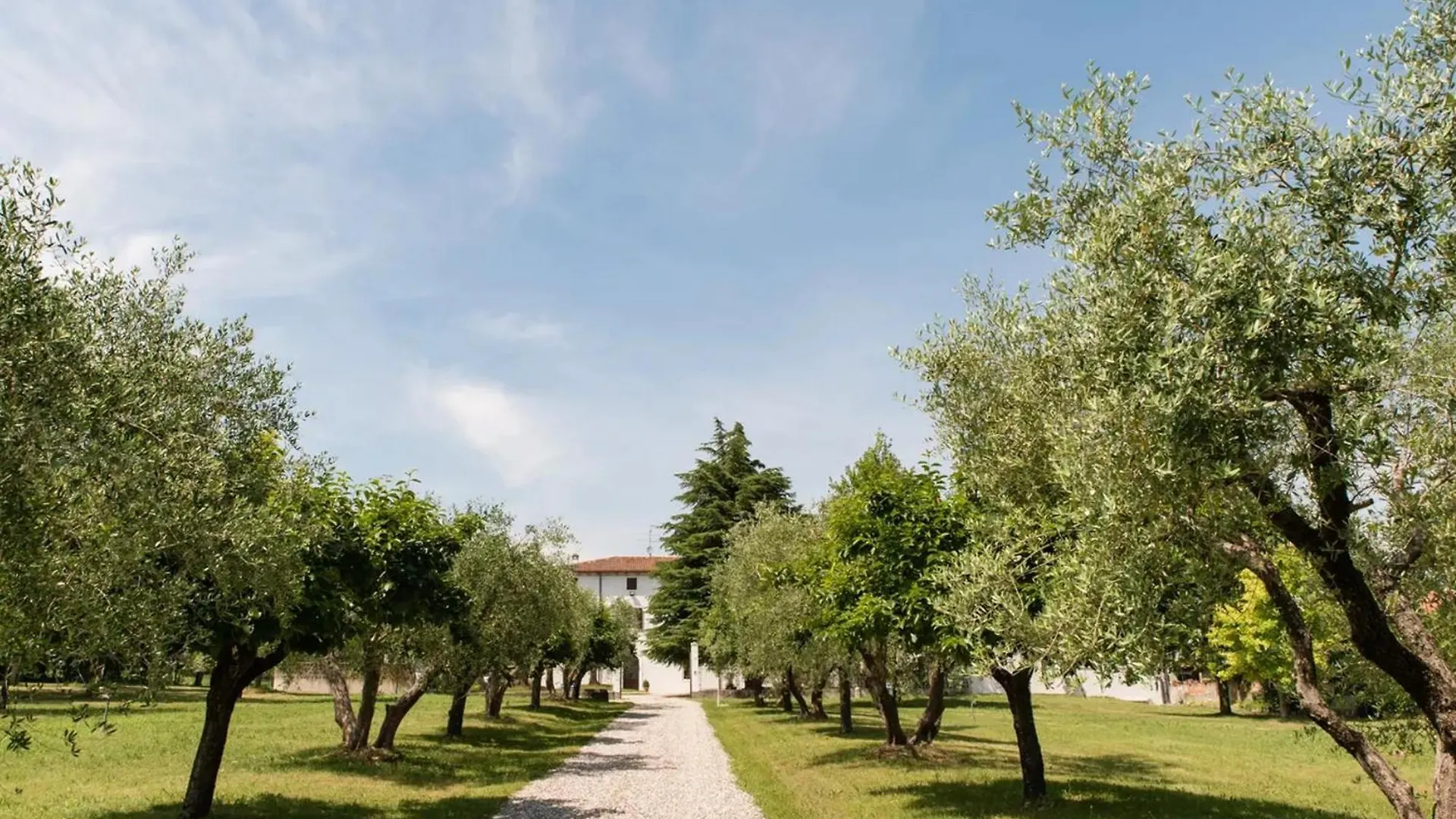 Apartment Bilo Garden Agriturismo Teboi Lazise Italy